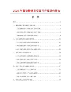 2026年藏秘酸痛靈項目可行性研究報告