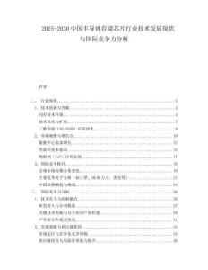 2025-2030中國半導體存儲芯片行業(yè)技術發(fā)展現(xiàn)狀與國際競爭力分析
