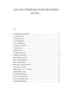 2025-2030中國道路運輸行業運營市場分析及投資技術評估