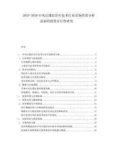 2025-2030中風(fēng)后遺癥治療技術(shù)行業(yè)市場(chǎng)供需分析及加碼投資可行性研究
