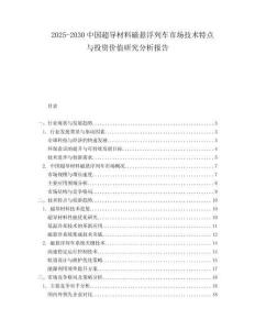 2025-2030中國超導材料磁懸浮列車市場技術特點與投資價值研究分析報告
