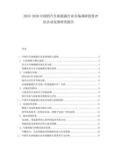 2025-2030中國的汽車新能源行業(yè)市場(chǎng)調(diào)研投資評(píng)估企業(yè)發(fā)展研究報(bào)告