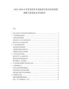 2025-2030中非貿易伙伴關系現狀分析及貿易政策調整與投資機會評估報告
