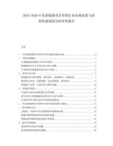2025-2030中東新能源項(xiàng)目管理行業(yè)市場(chǎng)供需與投資機(jī)遇規(guī)劃分析研究報(bào)告