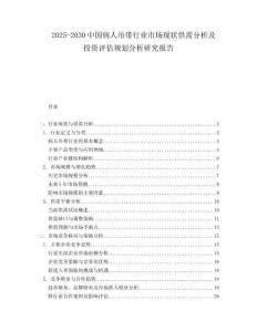 2025-2030中國(guó)病人吊帶行業(yè)市場(chǎng)現(xiàn)狀供需分析及投資評(píng)估規(guī)劃分析研究報(bào)告