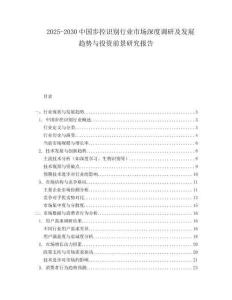 2025-2030中國步控識別行業市場深度調研及發展趨勢與投資前景研究報告