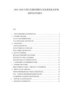2025-2030中國白色婚紗攝影行業發展現狀分析規劃研究評估報告