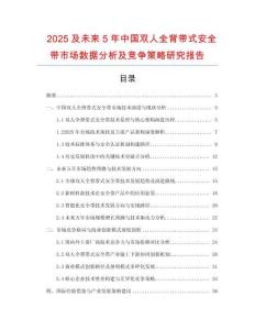 2025及未來5年中國雙人全背帶式安全帶市場數據分析及競爭策略研究報告