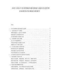 2025-2030中東智慧城市建設規劃與城市信息管理企業投資評估規劃分析報告