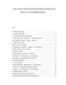 2025-2030中國充電電池管理系統(tǒng)行業(yè)市場競爭態(tài)勢及巴旦木應(yīng)用規(guī)劃研究報告