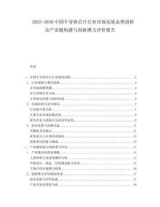 2025-2030中國半導體芯片行業市場發展態勢剖析及產業鏈構建與創新潛力評價報告
