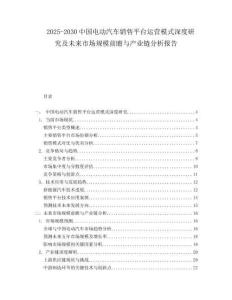 2025-2030中國電動汽車銷售平臺運營模式深度研究及未來市場規(guī)模前瞻與產(chǎn)業(yè)鏈分析報告