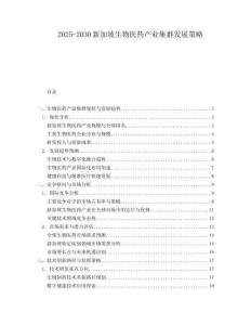 2025-2030新加坡生物醫(yī)藥產(chǎn)業(yè)集群發(fā)展策略