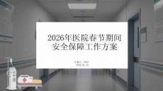 2026年醫(yī)院春節(jié)期間安全保障工作方案