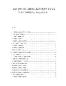 2025-2030中國大數(shù)據(jù)行業(yè)數(shù)據(jù)資源整合措施及精準(zhǔn)營銷發(fā)展趨勢與產(chǎn)業(yè)鏈投資方案