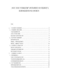 2025-2030中國超靈敏氣體傳感器行業市場現狀與發展規劃投資評估分析報告