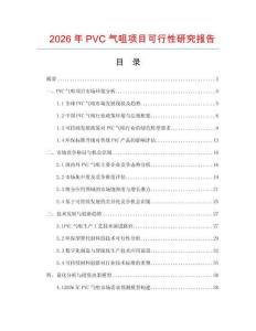 2026年P(guān)VC氣咀項目可行性研究報告