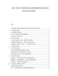 2025-2030中國保險科技業務創新模式深度分析及資本運作研究報告