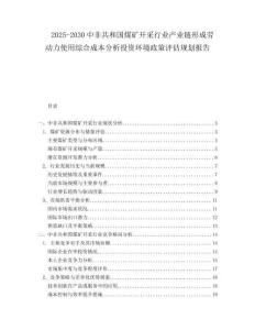 2025-2030中非共和國煤礦開采行業產業鏈形成勞動力使用綜合成本分析投資環境政策評估規劃報告