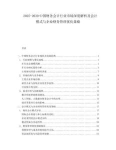 2025-2030中國財務會計行業市場深度解析及會計模式與企業財務管理優化策略