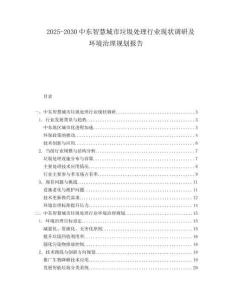 2025-2030中東智慧城市垃圾處理行業現狀調研及環境治理規劃報告