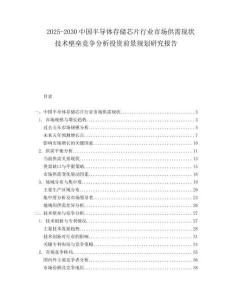 2025-2030中國半導體存儲芯片行業市場供需現狀技術壁壘競爭分析投資前景規劃研究報告