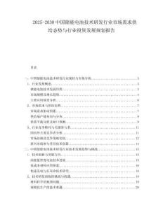 2025-2030中國儲能電池技術研發行業市場需求供給態勢與行業投資發展規劃報告