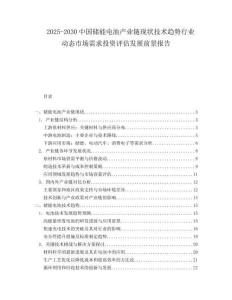 2025-2030中國儲能電池產業鏈現狀技術趨勢行業動態市場需求投資評估發展前景報告