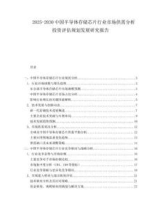 2025-2030中國半導體存儲芯片行業市場供需分析投資評估規劃發展研究報告