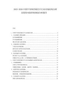 2025-2030中國半導體存儲芯片行業市場結構分析及投資風險控制規劃分析報告