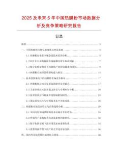 2025及未來(lái)5年中國(guó)熱膜粉市場(chǎng)數(shù)據(jù)分析及競(jìng)爭(zhēng)策略研究報(bào)告