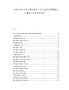 2025-2030中國村集體旅游行業市場深度調研及鄉村旅游與投資方向分析