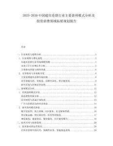 2025-2030中國超市連鎖行業主要盈利模式分析及投資消費領域拓展規劃報告