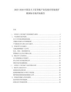 2025-2030中國北斗衛星導航產業發展應用場景擴展國際市場開拓報告