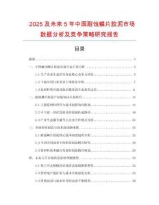 2025及未來5年中國耐蝕鱗片膠泥市場數(shù)據(jù)分析及競爭策略研究報(bào)告