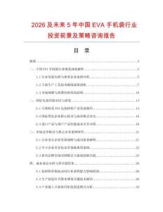 2026及未來5年中國EVA手機袋行業(yè)投資前景及策略咨詢報告