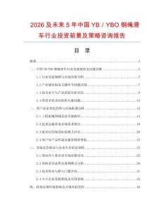 2026及未來5年中國YB／YBO鋼繩滑車行業(yè)投資前景及策略咨詢報告