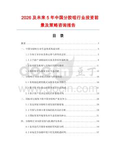 2026及未來5年中國分膠咀行業(yè)投資前景及策略咨詢報告