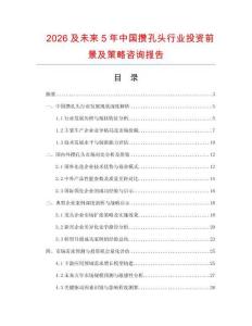 2026及未來(lái)5年中國(guó)攢孔頭行業(yè)投資前景及策略咨詢報(bào)告