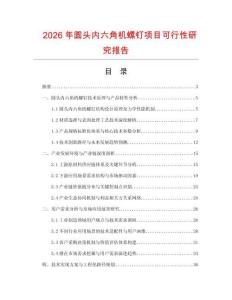 2026年圓頭內(nèi)六角機螺釘項目可行性研究報告