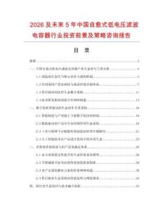 2026及未來5年中國自愈式低電壓濾波電容器行業投資前景及策略咨詢報告