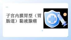 子宮內(nèi)膜胃型（胃腸道）黏液腺癌