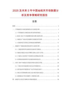 2025及未來5年中國地線夾市場數據分析及競爭策略研究報告