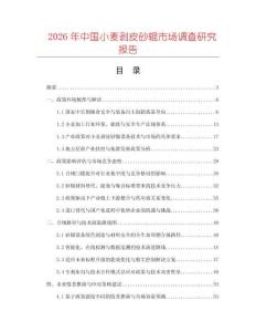 2026年中國小麥剝皮砂輥市場調查研究報告