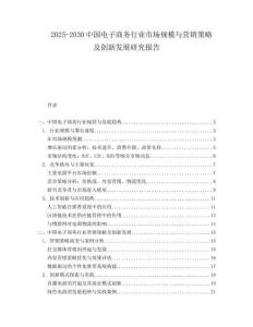2025-2030中國電子商務行業市場規模與營銷策略及創新發展研究報告