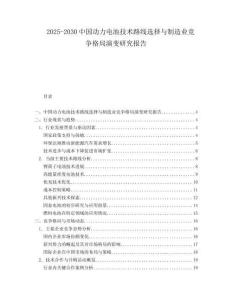 2025-2030中國動力電池技術路線選擇與制造業競爭格局演變研究報告