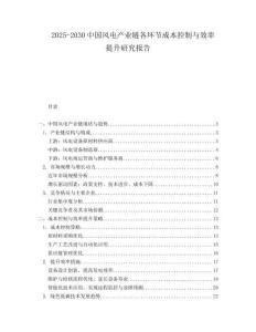 2025-2030中國風電產業鏈各環節成本控制與效率提升研究報告