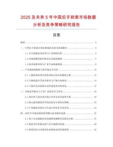 2025及未來5年中國后手剎索市場數據分析及競爭策略研究報告