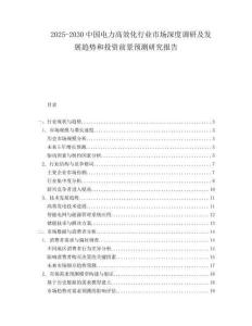 2025-2030中國電力高效化行業市場深度調研及發展趨勢和投資前景預測研究報告