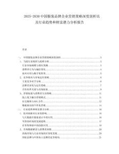 2025-2030中國服裝品牌企業營銷策略深度剖析以及行業趨勢和財富潛力分析報告